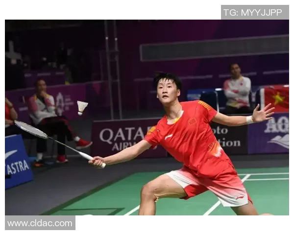 杭州羽毛球队在全国锦标赛中的耐力表现分析与点评