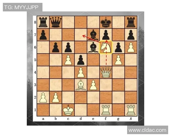 武汉羽毛球队节奏对比深度解析与战术优势探讨